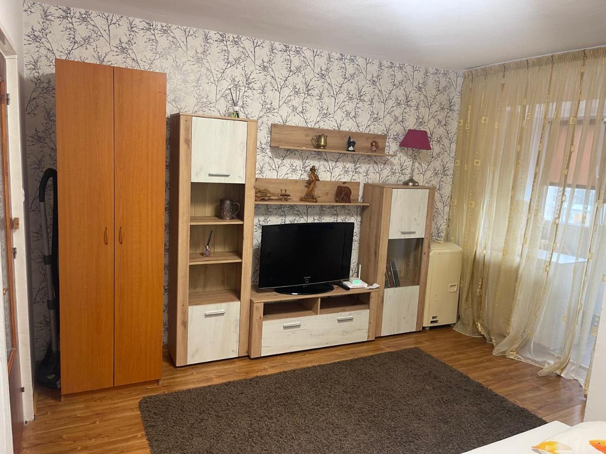 Garsoniera -Single Room 91 Bukarest Exterior foto
